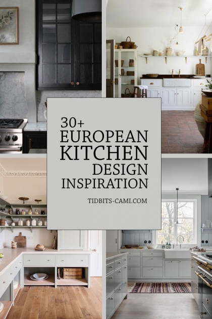 Alluring European Kitchen Interior Pic
