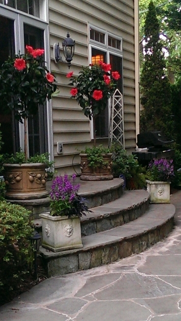 Alluring Exterior Entrance Stairs Design Image