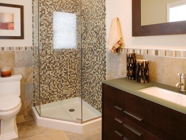 Amazing Bathroom Ideas Shower Only Photo