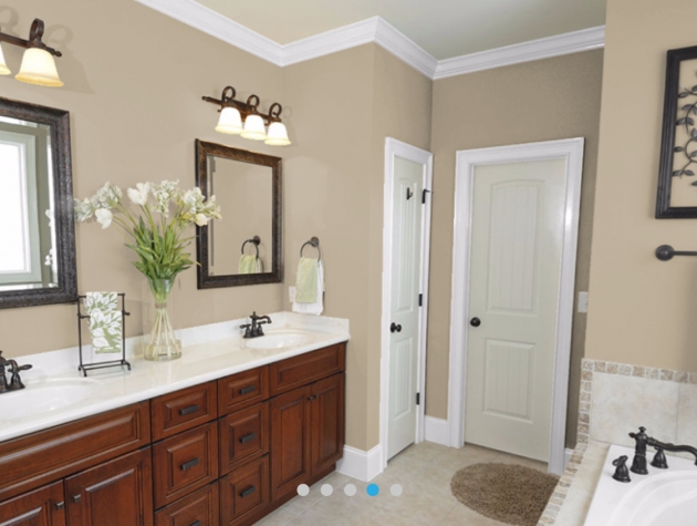 Amazing Bathroom Interior Paint Color Ideas Image
