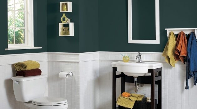 Amazing Bathroom Interior Paint Color Ideas Photo