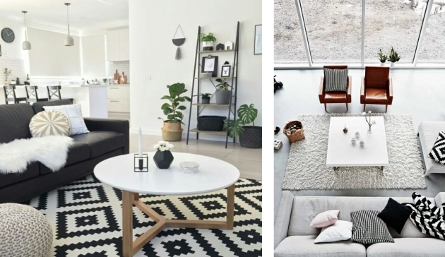 Amazing Living Room Decor Black And White Pic