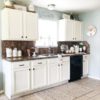 Decor Kitchen Cabinets