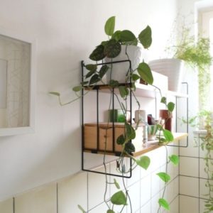 Bathroom Decor With Plants