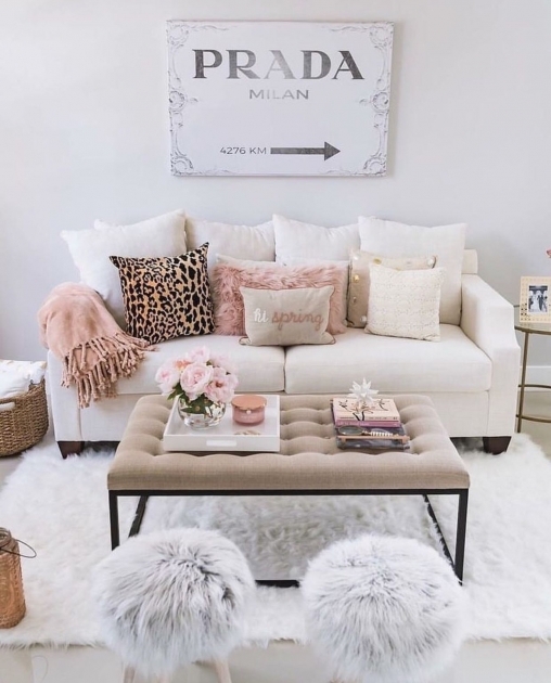 Classy Living Room Decor Ideas For Young Adults Image