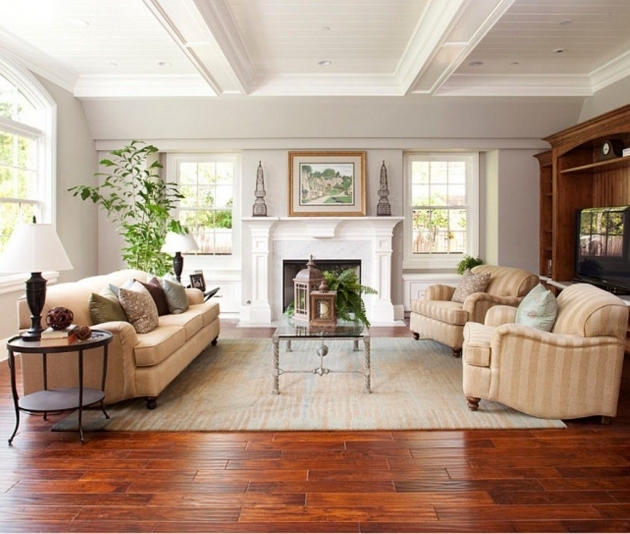 Classy Living Room Flooring Image