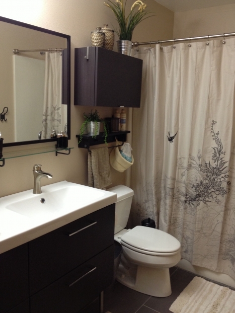 Classy Remodel Bathroom Ikea Pic