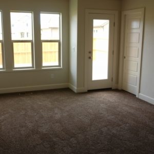 Dark Brown Carpet Living Room Ideas