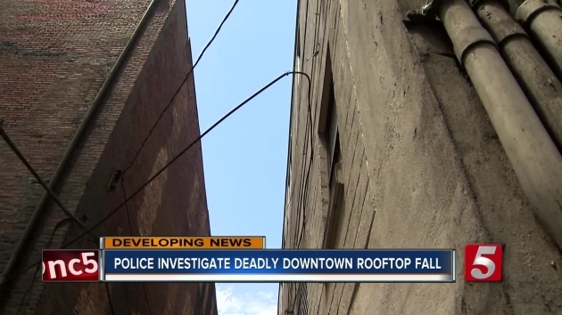 Fantastic Guy Falls Off Roof Then Stairs Pic