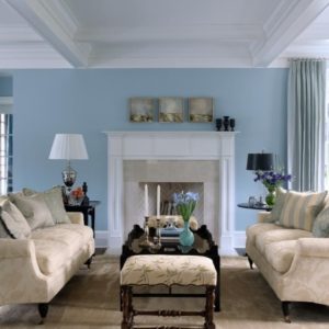Light Blue Living Room Ideas