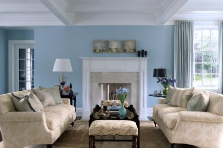 Light Blue Living Room Ideas