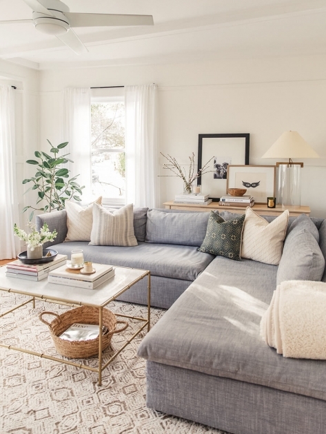 Fascinating Living Room Decor Apartment Picture