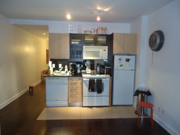Gorgeous Kitchen Ideas Along One Wall Image