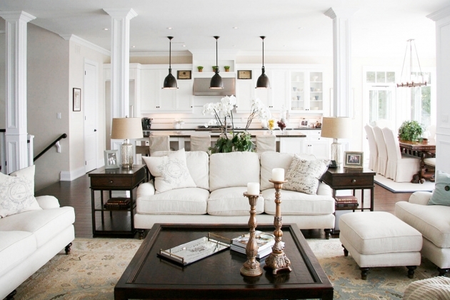 Gorgeous Open Plan Living Room Sofa Pic