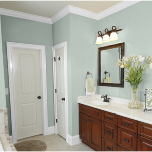 Bathroom Paint Ideas Interior