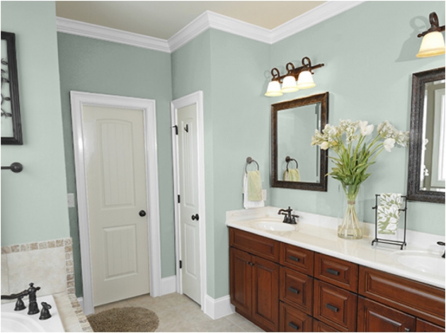 Inspiration Bathroom Paint Ideas Interior Pic