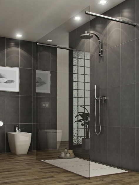 Inspiration Grey Bathroom Modern Pic