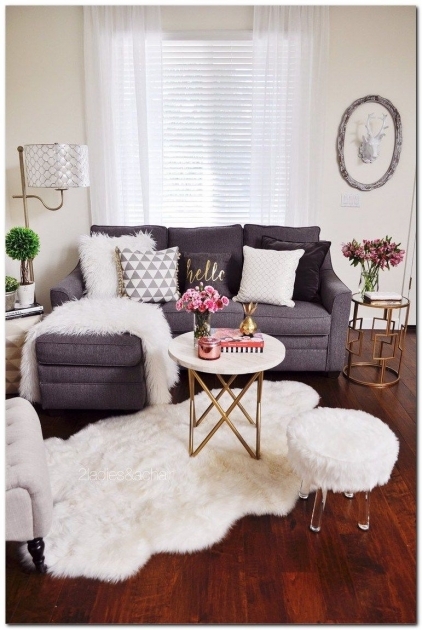 Inspiring Apartment Living Room Decor Picture