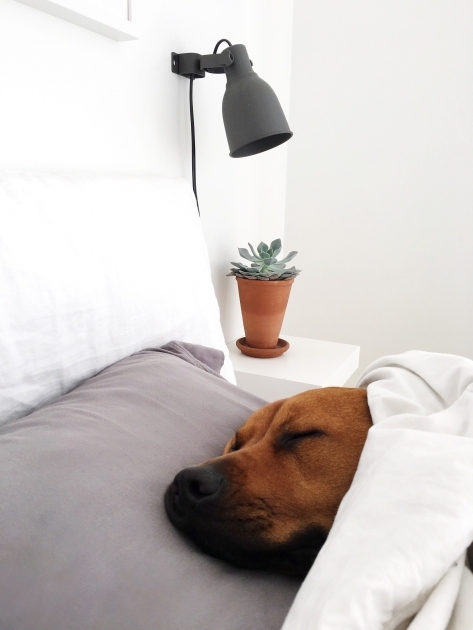 Interesting Ikea Bedroom Wall Lights Image