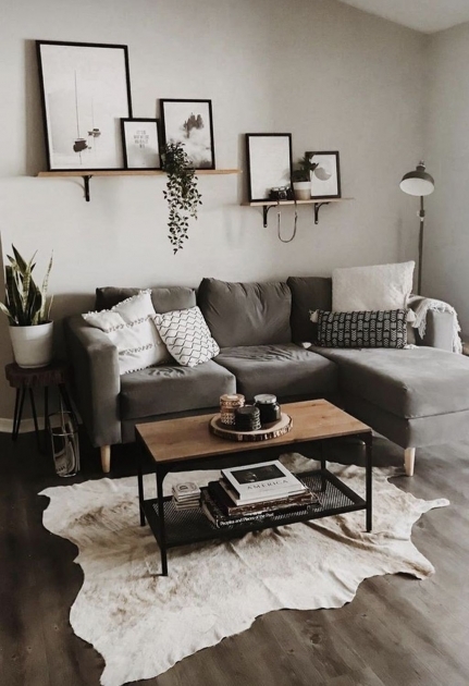 Marvelous Living Room Decor Gray Sofa Pic