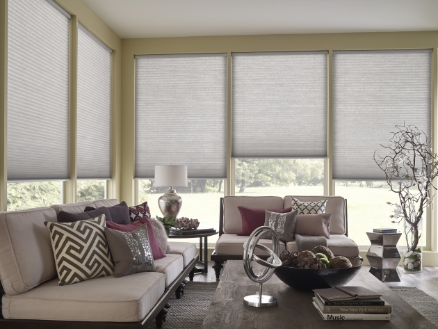 Marvelous Modern Living Room Blinds Image