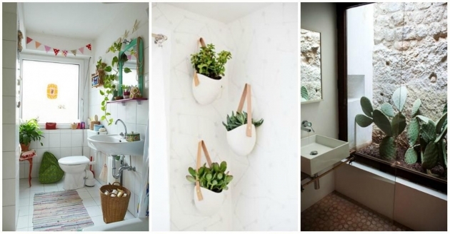 Nice Bathroom Decor With Plants Photo