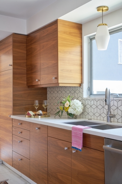 Nice Ikea Cabinets Kitchen Modern Photo