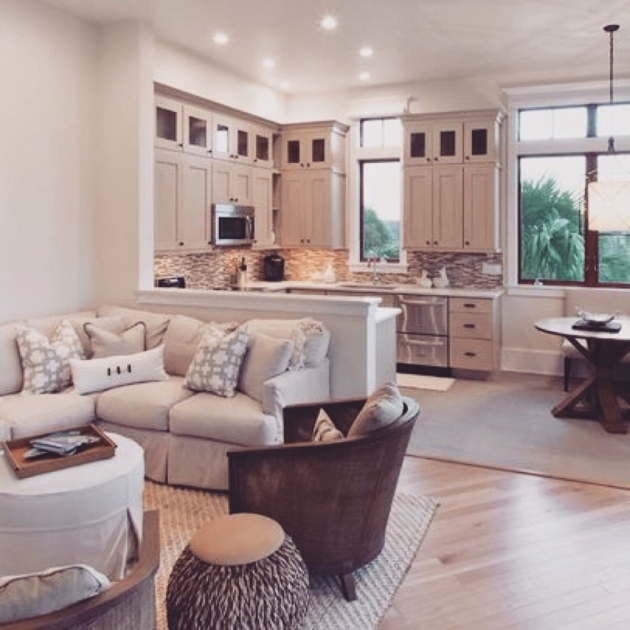 Nice Kitchen Living Room Ideas Photo