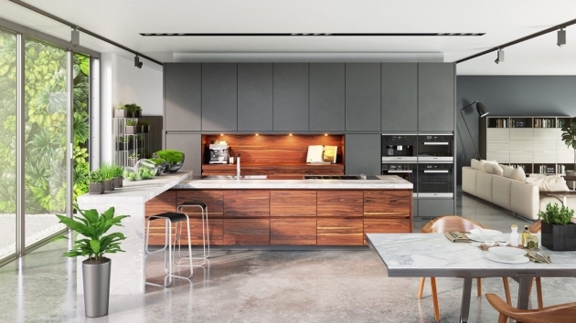 Remarkable Contemporary Kitchen Interior Design Picture