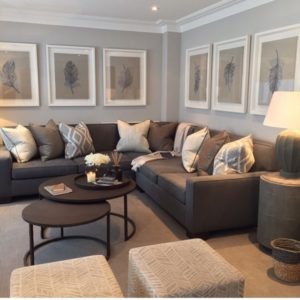 Living Room Decor With Brown Couch