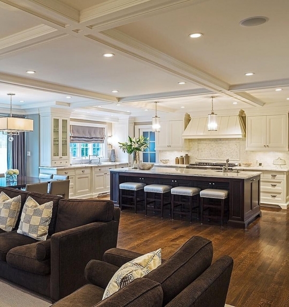 Splendid Interior Design For Living Room With Open Kitchen Photo