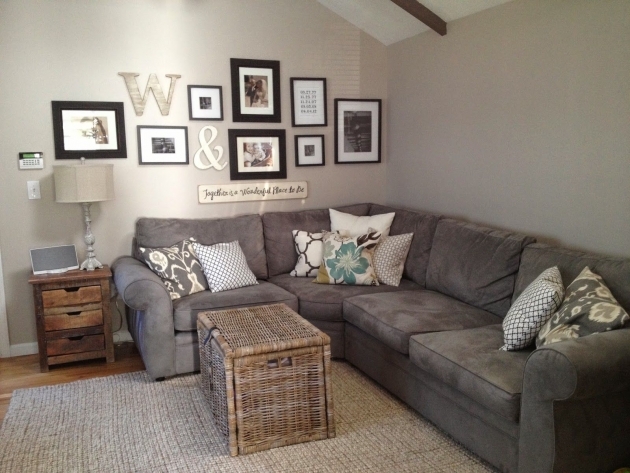 Splendid Living Room Decor Gray Sofa Picture