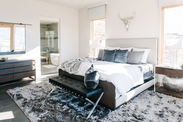 Splendid Modern Bedroom Rugs Ideas Picture