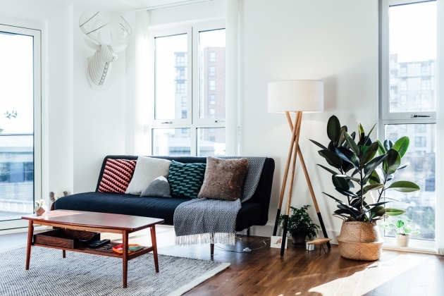 Splendid Small Living Room Ideas Image
