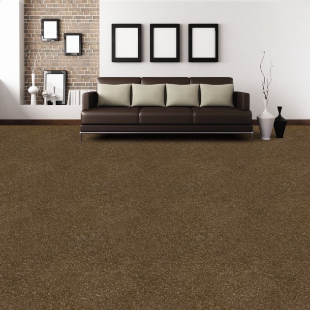 Stunning Dark Brown Carpet Living Room Ideas Photo