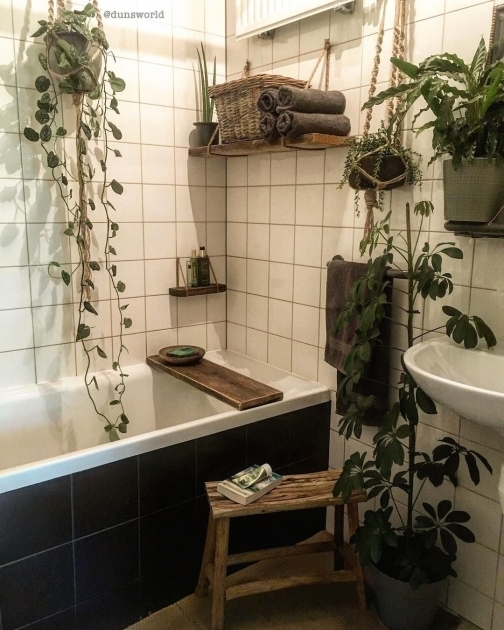Stylish Bathroom Decor With Plants Photo