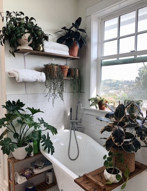 Stylish Bathroom Decor With Plants Picture