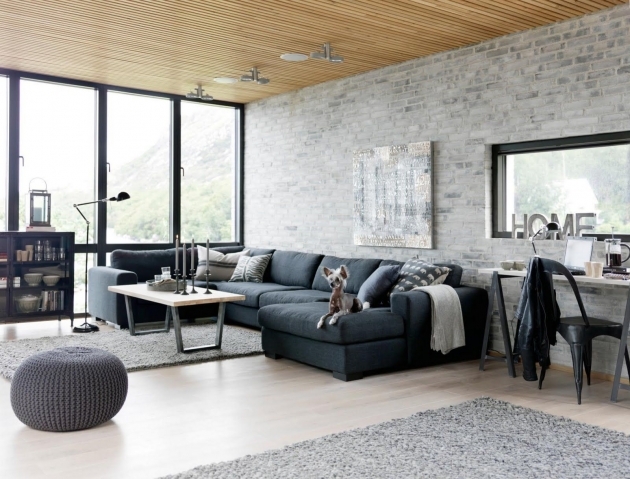 Stylish Industrial Living Room Furniture Pic