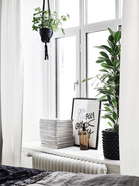 Stylish Window Sill Decor Bedroom Image
