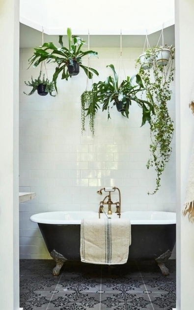 Surprising Bathroom Decor With Plants Pic