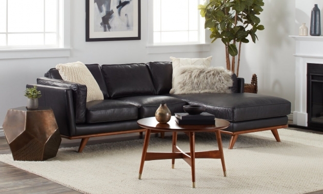 Surprising Living Room Ideas Black Sofa Image