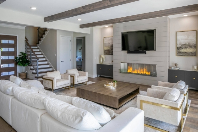 Surprising Living Room Modern Ideas Picture