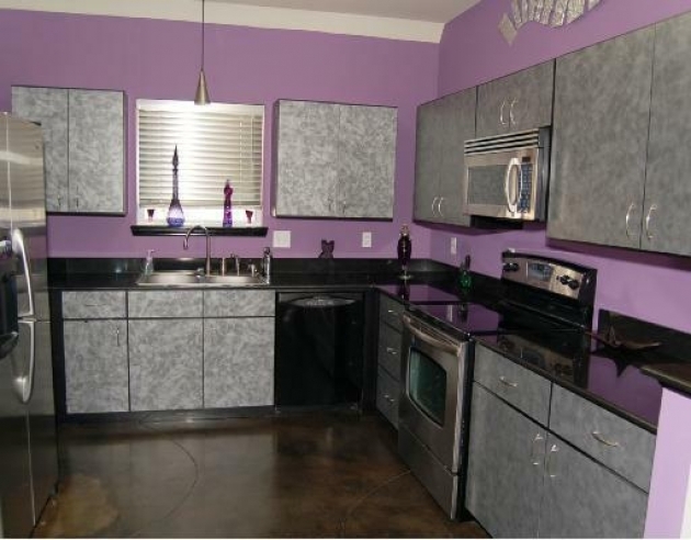 Surprising Purple Decor Kitchen Pic
