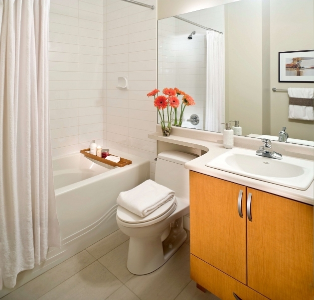 Top 4 X 8 Bathroom Design Ideas Image