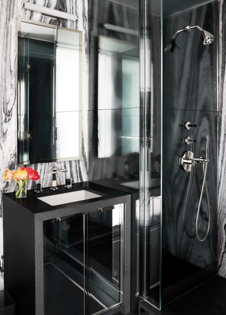Top Bathroom Remodel Ideas Modern Picture