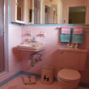 Retro Bathroom Decor