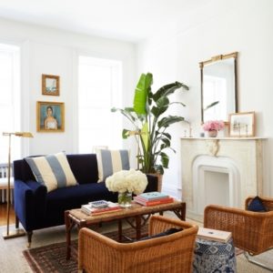 Small Living Room Ideas